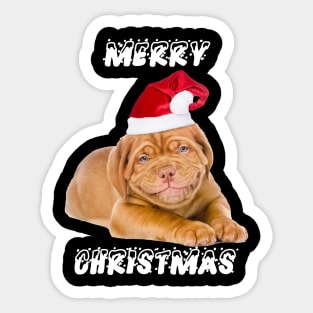 MERRY CHRISTMAS DOG WITH CHRISTMAS HAT T-Shirt Sticker